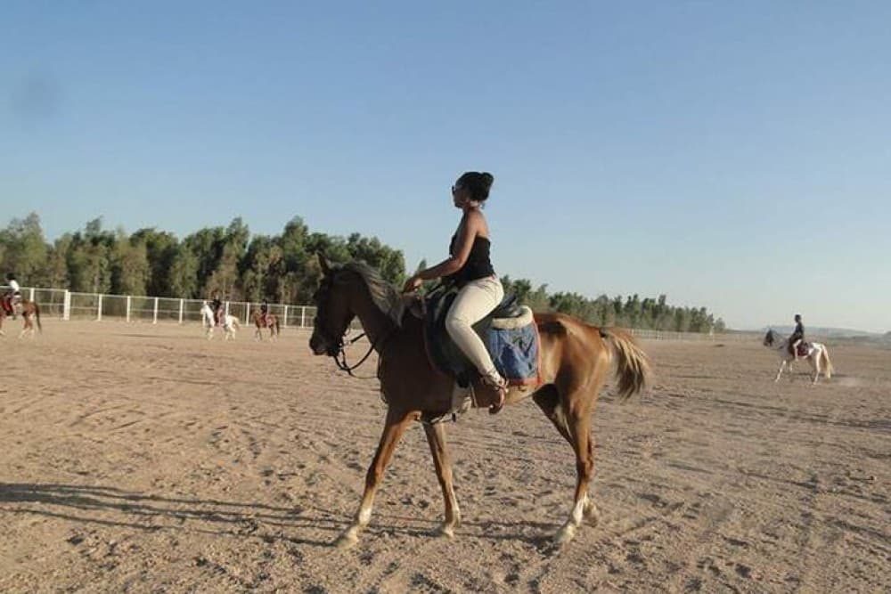 1 Hour Guided Horse Riding Activity in Sharm El Sheikh | ®ExcursionMania