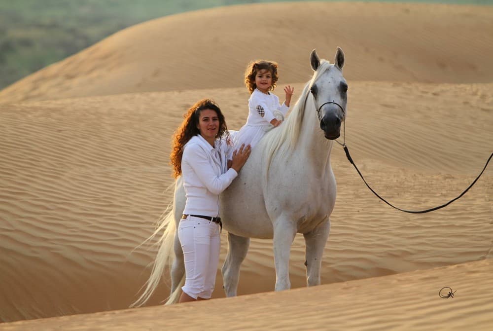 1 Hour Guided Horse Riding Activity in Sharm El Sheikh | ®ExcursionMania