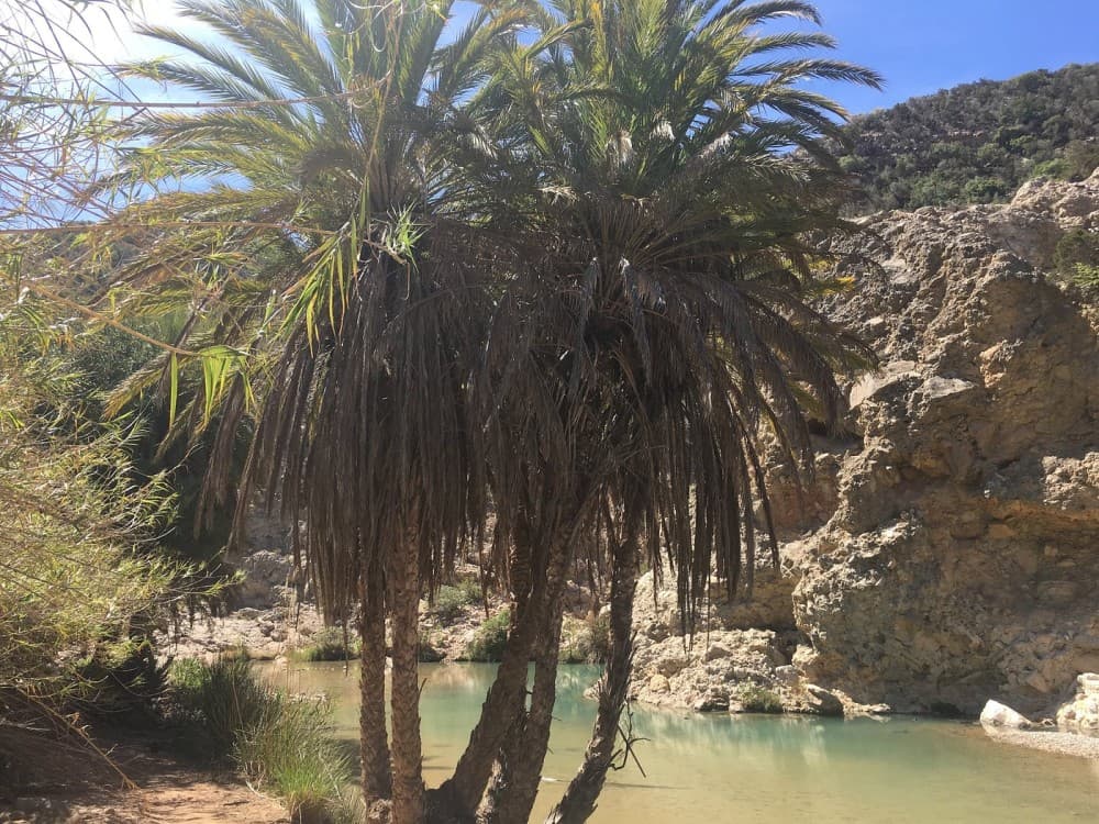 Agadir Cooking Class Including Paradise Valley and Sand Dunes Desert | ®ExcursionMania