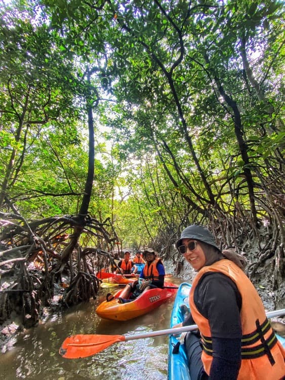 Mangrove Kayaking | ®ExcursionMania