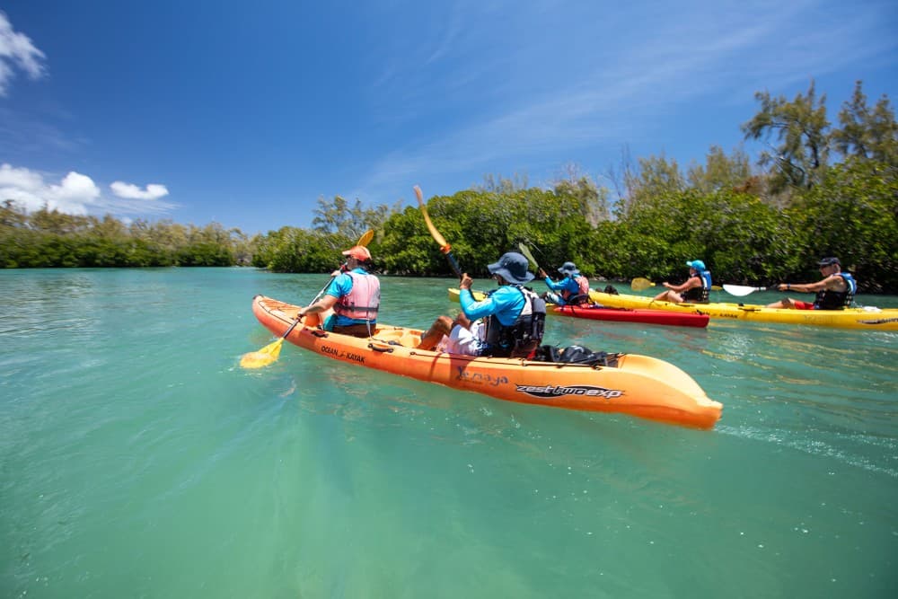 Mangrove Kayaking | ®ExcursionMania