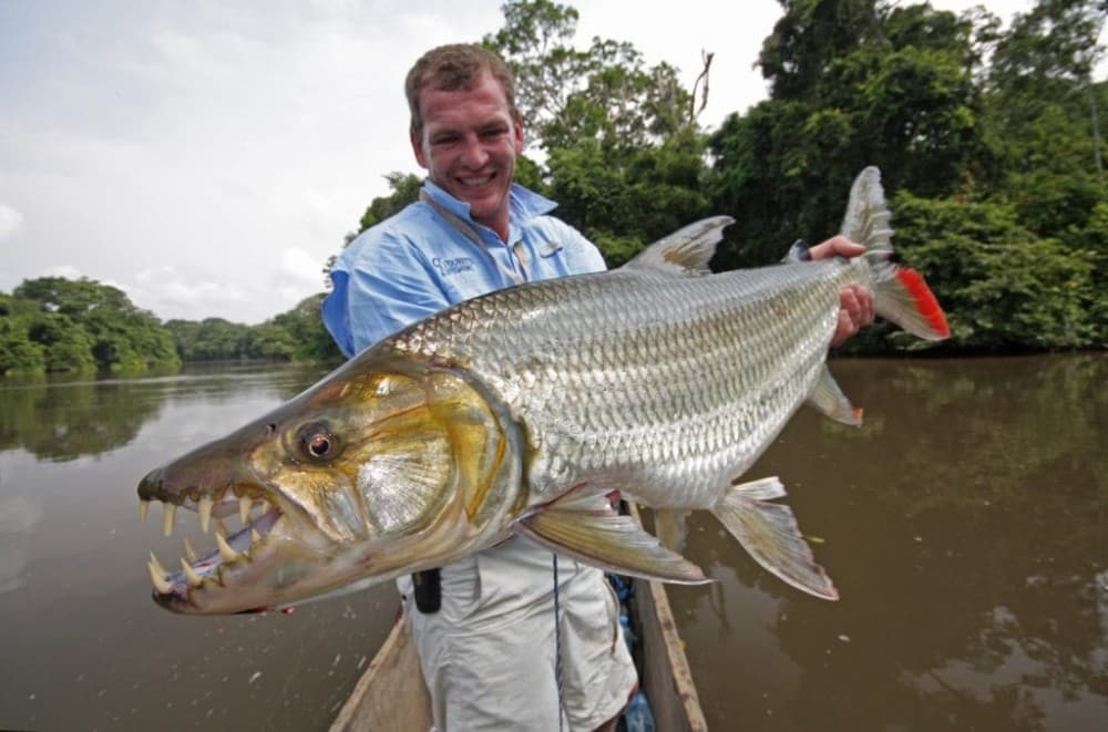 Victoria Falls: Tiger Fishing Trip on the Zambezi River | ®ExcursionMania