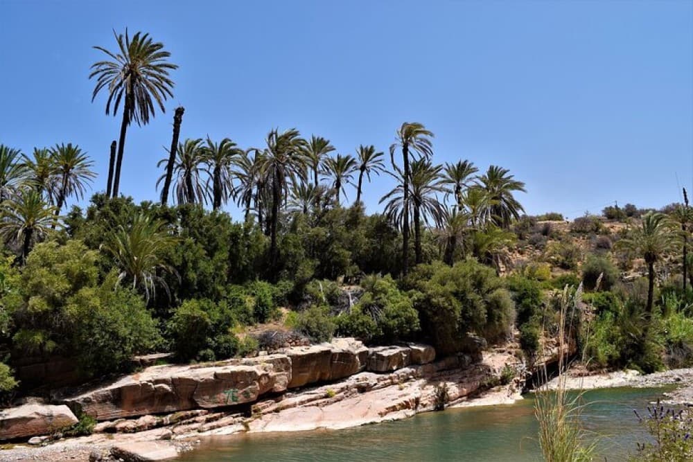 Paradise Valley and Camel Ride and Spa in All in One in Agadir | ®ExcursionMania