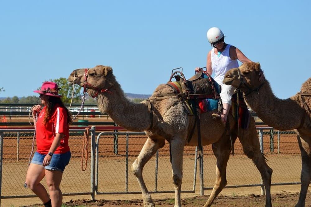 Paradise Valley and Camel Ride and Spa in All in One in Agadir | ®ExcursionMania