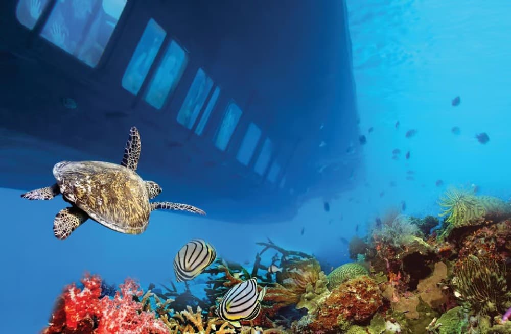 Hurghada: Royal Seascope Submarine Cruise with Snorkel Sto | ®ExcursionMania