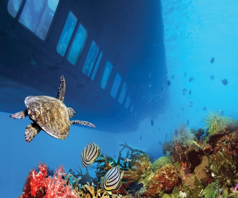 Cairo: Ain Sokhna Semi-Submarine with optional Transfer | ®ExcursionMania