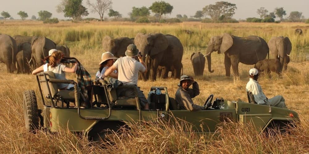 Victoria Falls