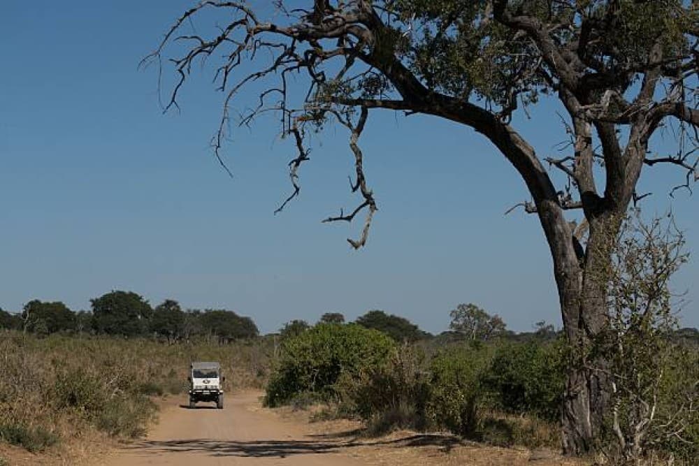 Victoria Falls Safari with Lunch and Sunset Cruise | ®ExcursionMania