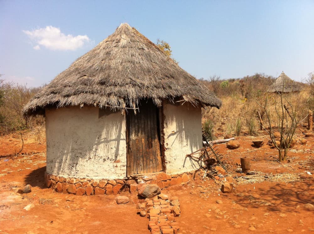 From Victoria Falls: Zimbabwe Traditional Village Tour | ®ExcursionMania