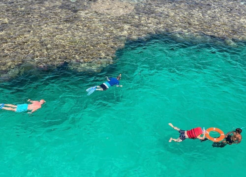 Dahab: luxury Snorkeling cruise with buffet lunch | ®ExcursionMania