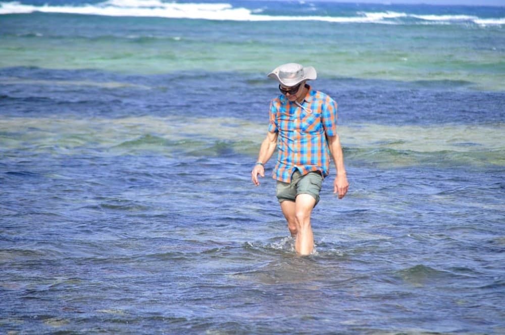 Santa Maria: Salt Mine, Natural Pool, and Shark Bay Tour | ®ExcursionMania