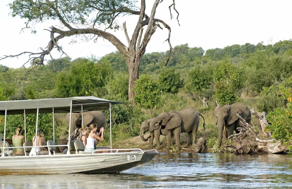 Chobe Full day Safari with Victoria falls Sunrise Tour Combo | ®ExcursionMania
