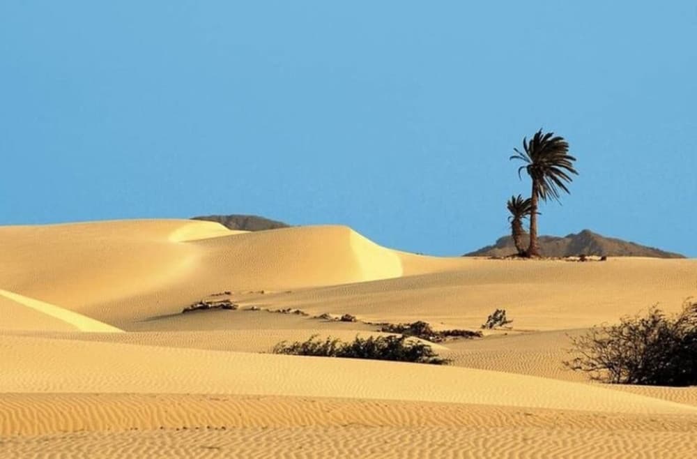 Santa Monica, Cave, San Dunes & Shipwreck, Sal Rei Town | ®ExcursionMania