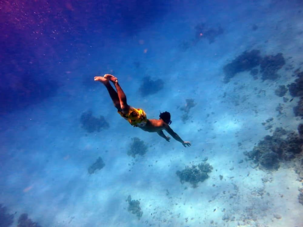 Hurghada: Dolphin Watching Snorkeling Cruise with Lunch | ®ExcursionMania