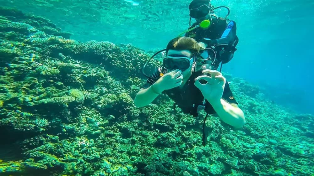 From Hurghada: Orange Island Snorkeling Cruise with Lunch | ®ExcursionMania