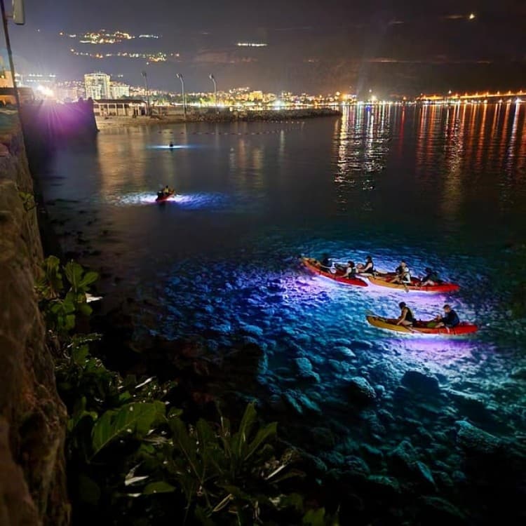 Budva: Night Lights Kayak and SUP Adventure | ®ExcursionMania