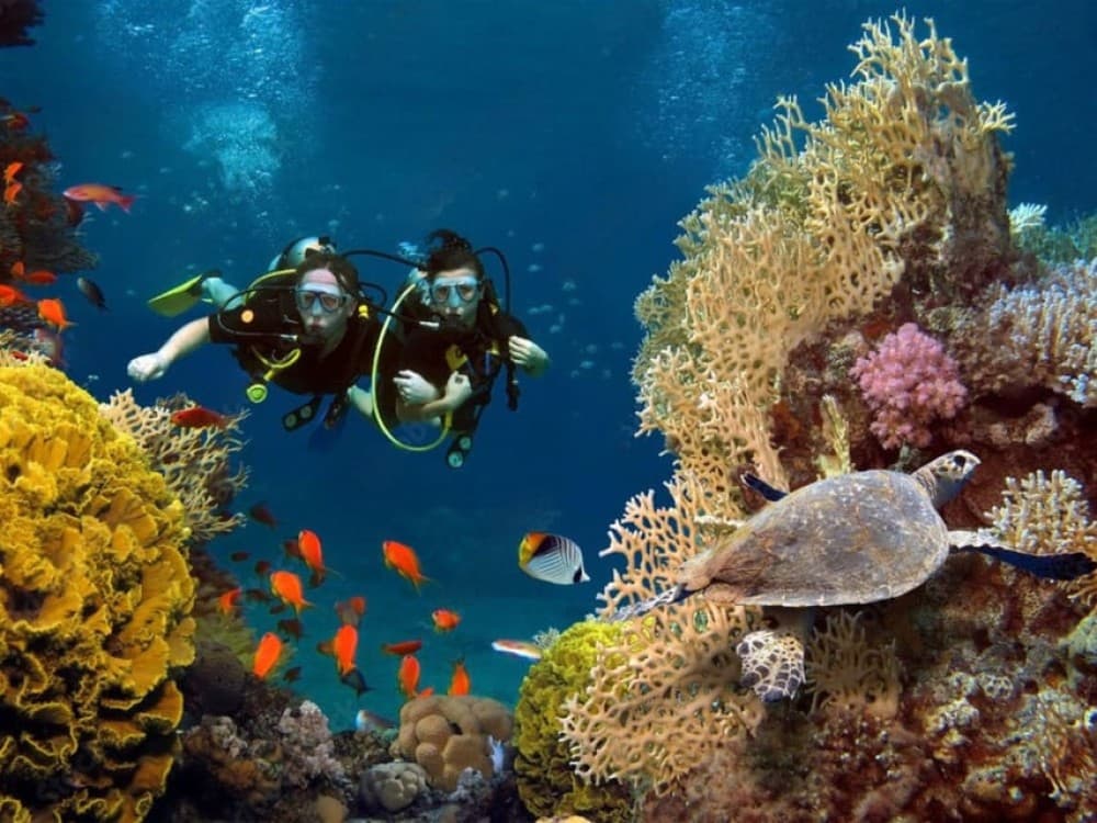 Phuket: Racha Island and Coral Islands  Scuba Beach Dive | ®ExcursionMania