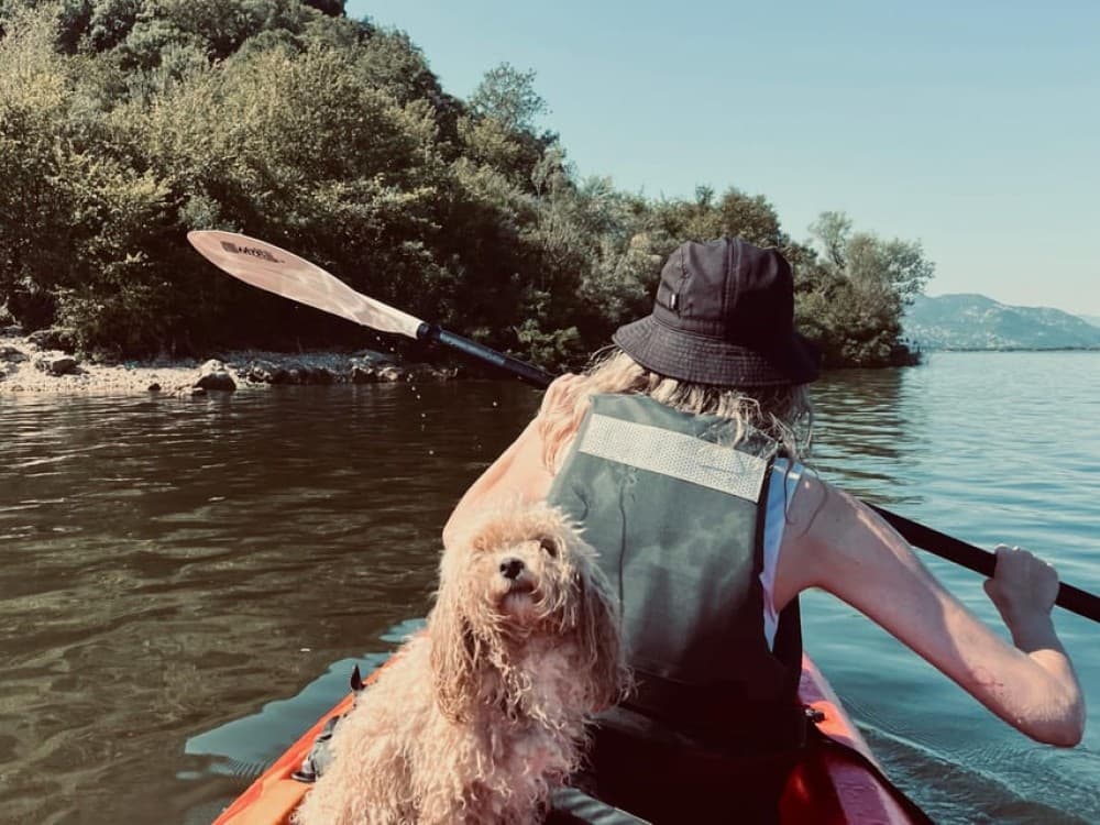 Explore Skadar Lake: SUP & Kayak Rentals in Montenegro | ®ExcursionMania