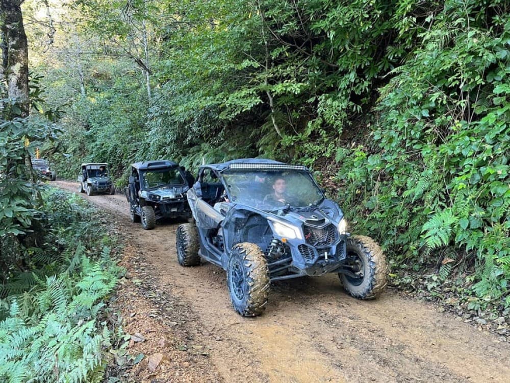 Batumi: Mtirala ATV, Buggy and Horse Riding Adventure Trip | ®ExcursionMania