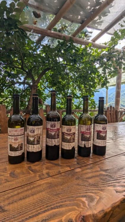 Wine & Dine Tour To Batumi Waterfalls - Mountainous Adjara | ®ExcursionMania