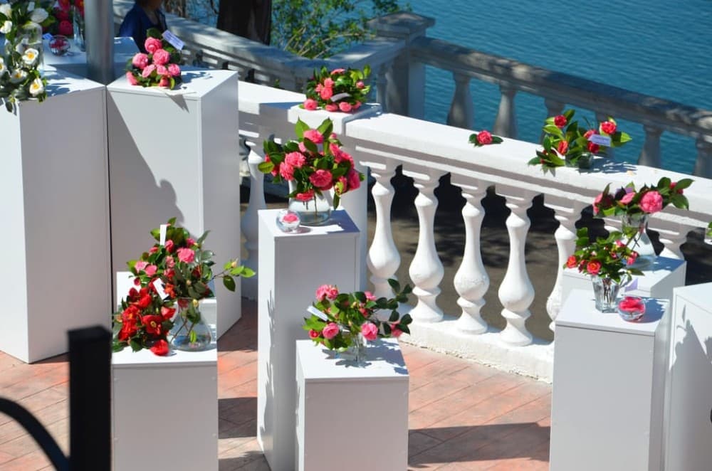Batumi: Botanical Garden Petra Fortress and Miniatures Park | ®ExcursionMania