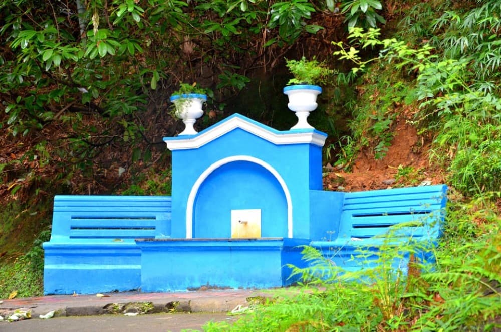 Batumi: Botanical Garden Petra Fortress and Miniatures Park | ®ExcursionMania