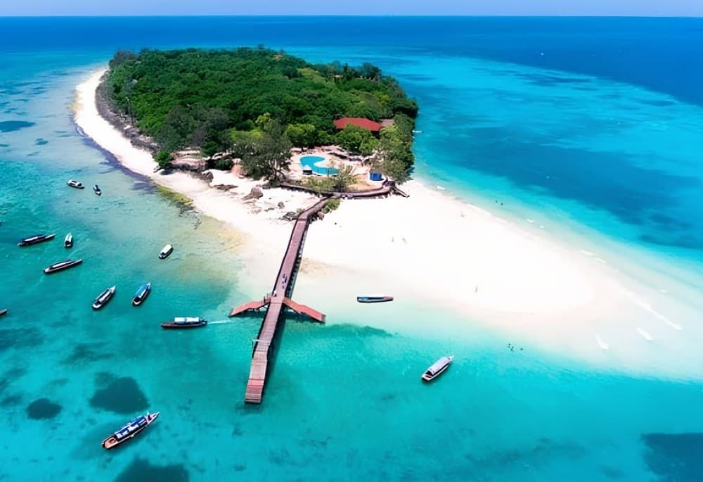 From Nungwi/Kendwa: Prison Island & Nakupenda Sandbank Tour | ®ExcursionMania