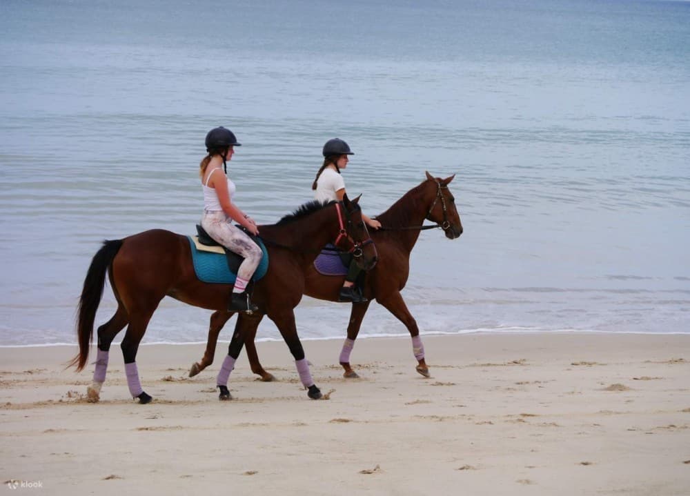 Horseback Riding in Boavista for Beginners | ®ExcursionMania