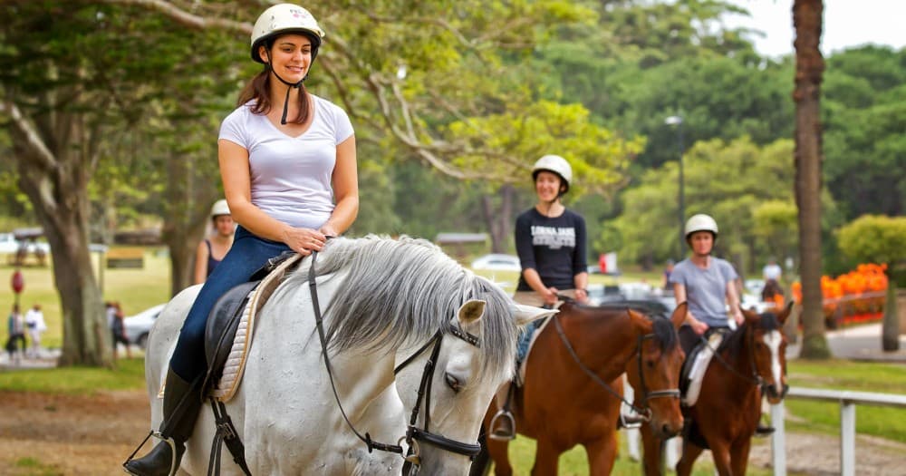 Horseback Riding in Boavista for Beginners | ®ExcursionMania