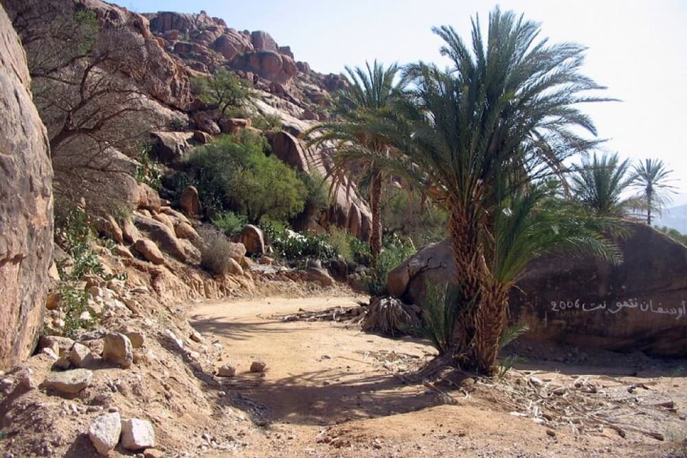Agadir Day Trip To Tafraoute | ®ExcursionMania