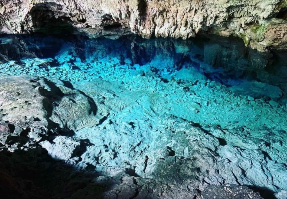 Zanzibar: Starfish, Blue Lagoon, and The Rock Restaurant | ®ExcursionMania