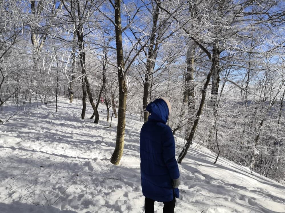 Day Trip to Tbilisi National Park: Magical Sabaduri Forest | ®ExcursionMania
