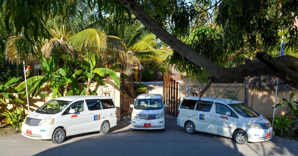 Zanzibar: Transfer to/from the airport from any location | ®ExcursionMania