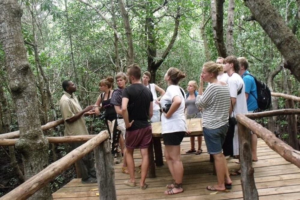 Zanzibar: Jozani nature walk and wildlife tour | ®ExcursionMania
