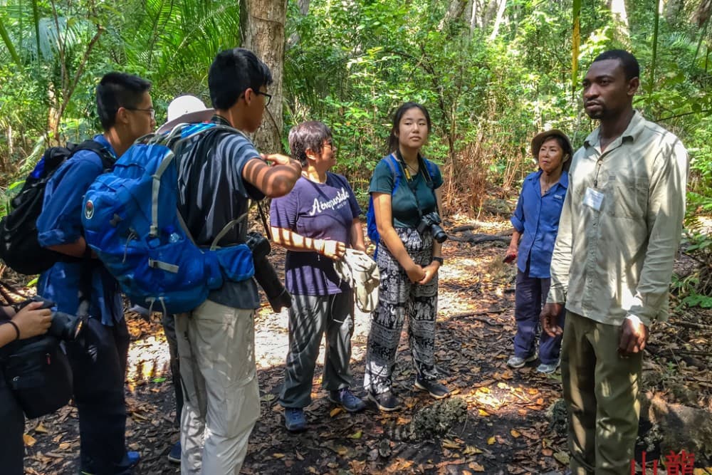 Zanzibar: Jozani nature walk and wildlife tour | ®ExcursionMania