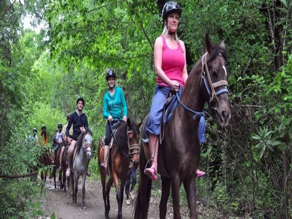 Icmeler Horse Riding Adventure in the Forest w/Hotel Transfer | ®ExcursionMania