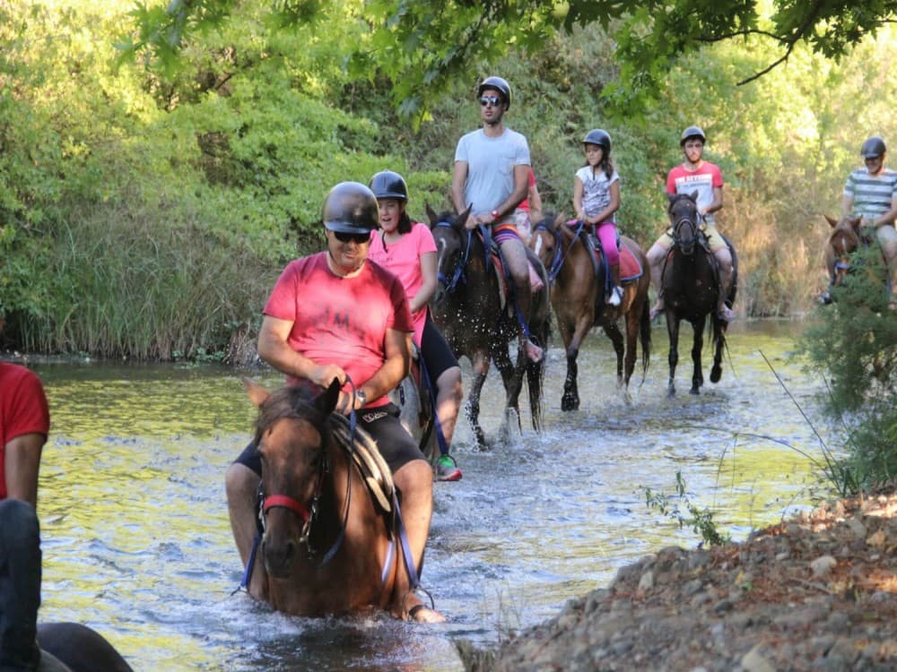 Icmeler Horse Riding Adventure in the Forest w/Hotel Transfer | ®ExcursionMania