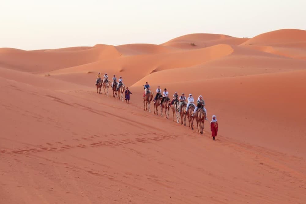 From Marrakech: 3-Day Desert Tour to Fes | ®ExcursionMania