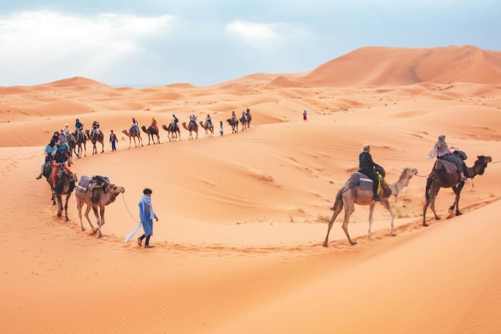 From Marrakech: 3-Day Desert Tour to Fes | ®ExcursionMania