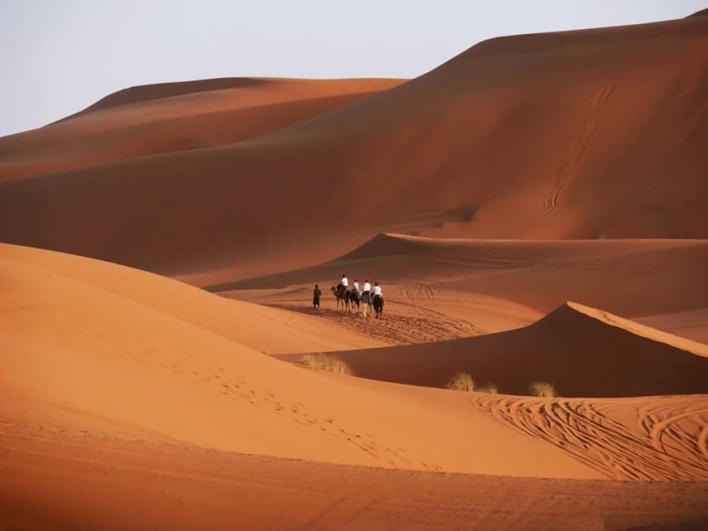 From Marrakech: 3-Day Desert Tour to Fes | ®ExcursionMania