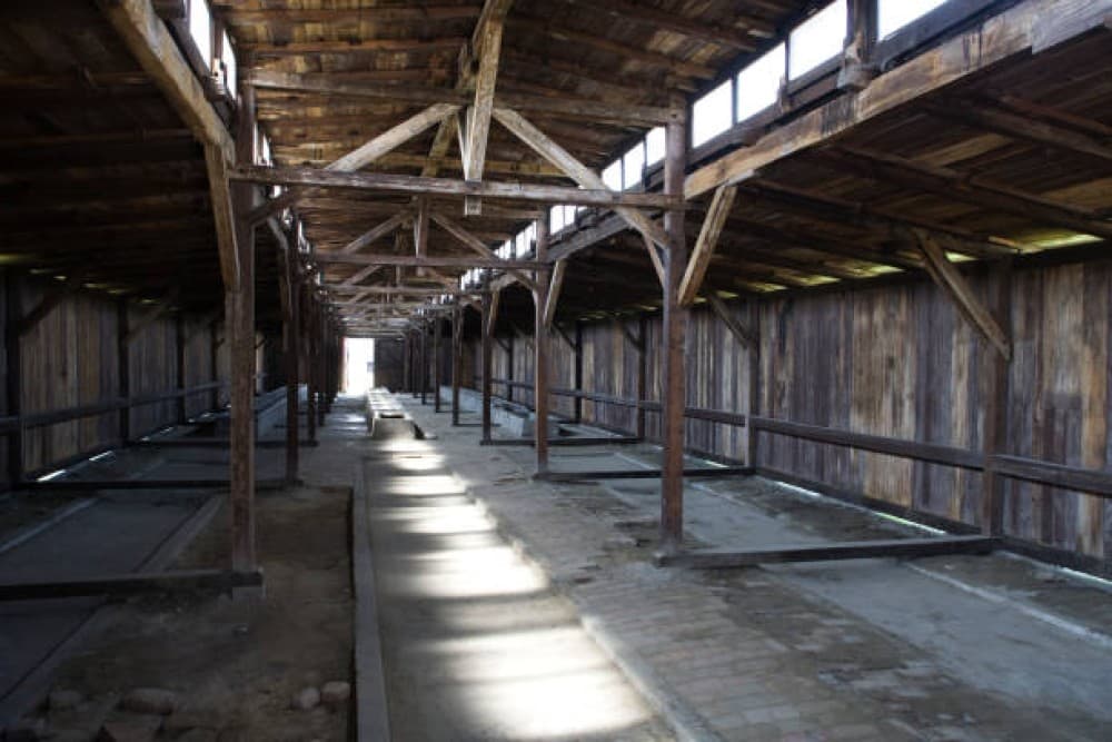 Krakow: Auschwitz-Birkenau Guided Tour with Hotel Transfer | ®ExcursionMania