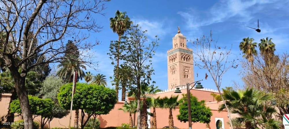 Marrakech 3-Hour Walking Tour | ®ExcursionMania