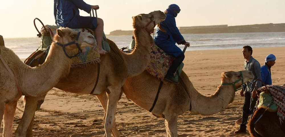 Essaouira: 2-Hour Camel Ride | ®ExcursionMania