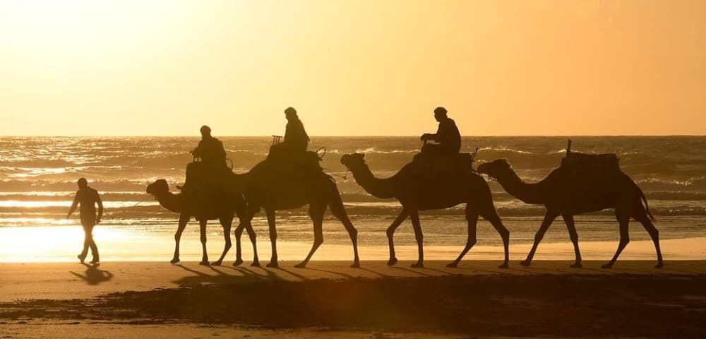 Essaouira: 2-Hour Camel Ride | ®ExcursionMania