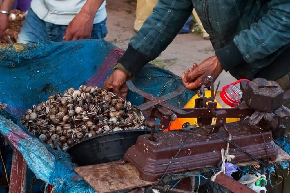 From Marrakech: Essaouira & Atlantic Coast Full-Day Trip | ®ExcursionMania