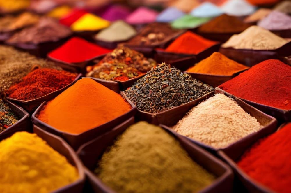 Rabat full-day Trip From Casablanca Guided Tour | ®ExcursionMania