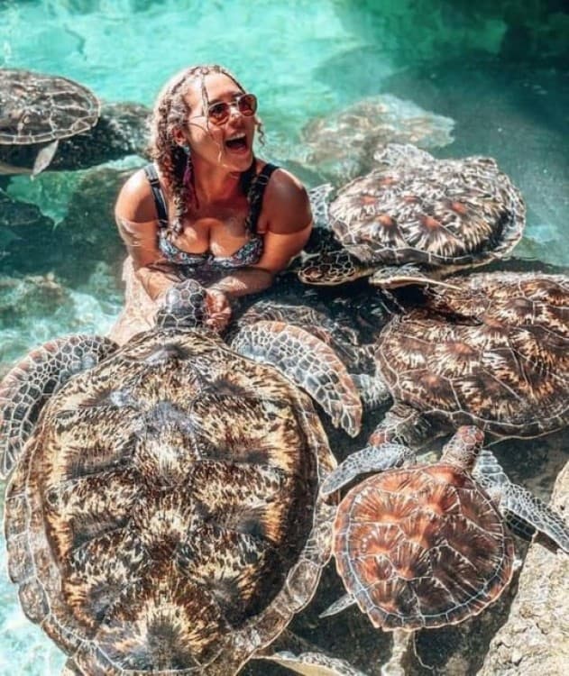 Mnemba island &Nungwi Aquarium & Sunset at kendwa full day | ®ExcursionMania