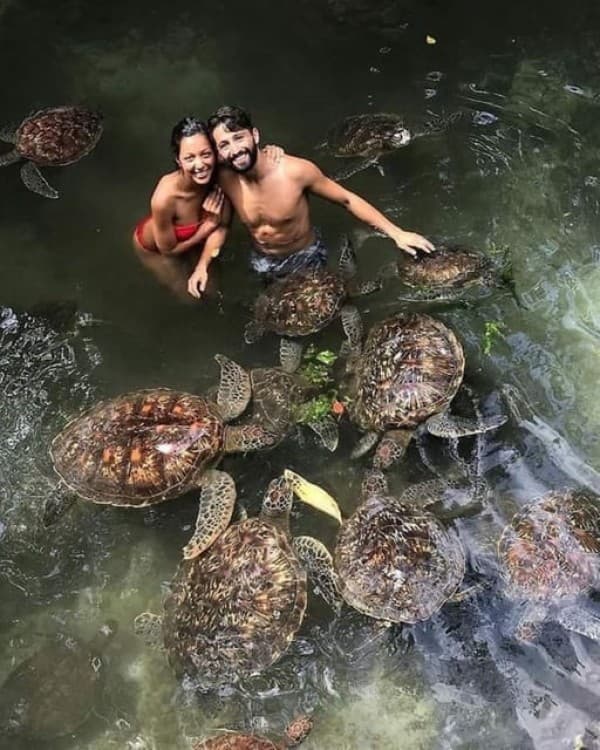 Mnemba island &Nungwi Aquarium & Sunset at kendwa full day | ®ExcursionMania