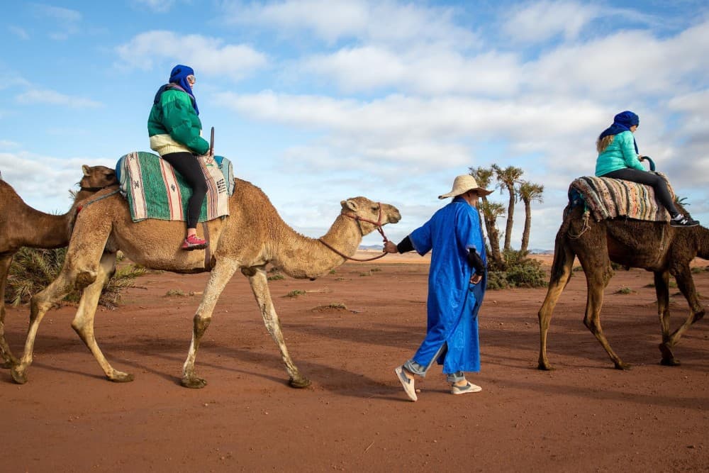 Marrakech Day-Trip with Camel Ride From Casablana | ®ExcursionMania