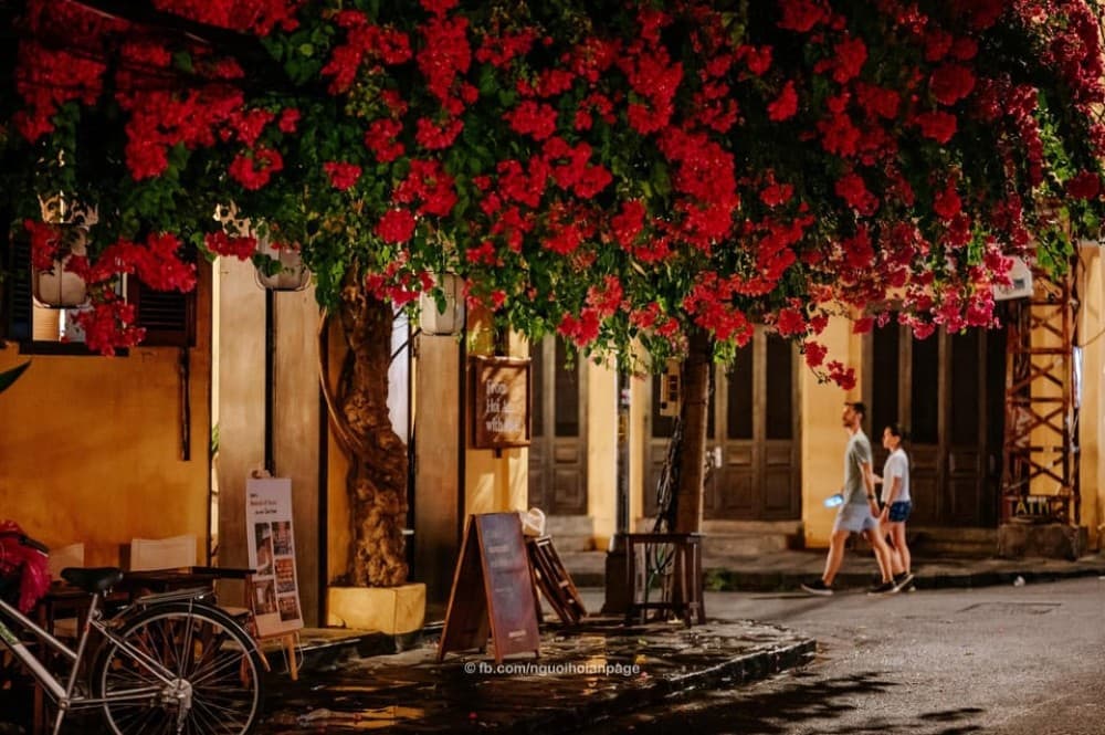 Shuttle Bus Da Nang- Golden Bridge- Hoi An by night- DaNang | ®ExcursionMania